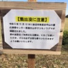 【ハイカー注意】岩沼市のクマ情報