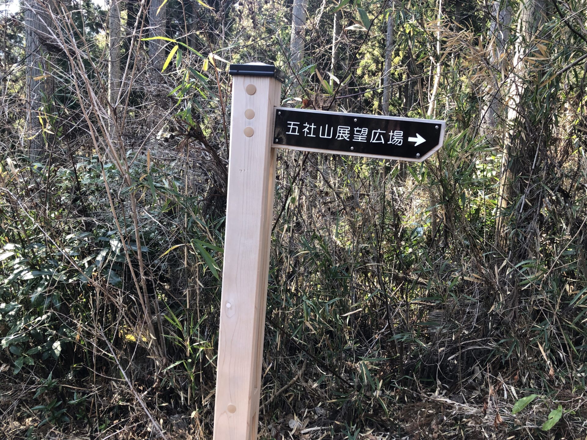 五社山・外山（中の沢本道・新道周回） | 宮城でラーメンときどき登山